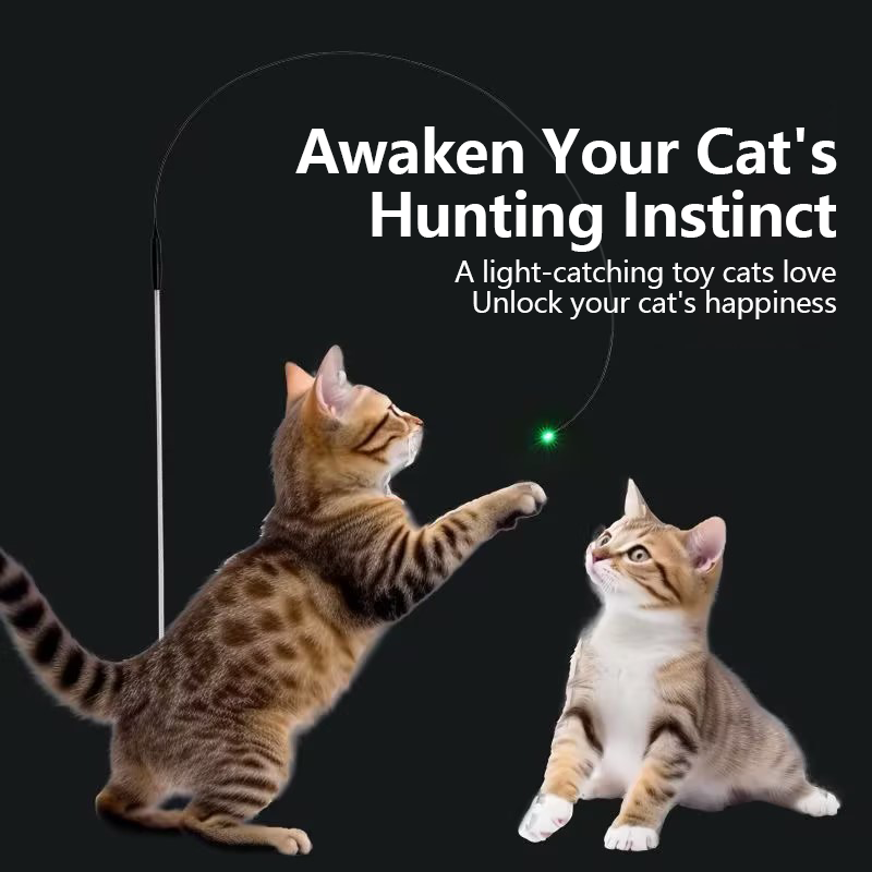 2026👉 Veterinarian Developed😻Laser Cat Teaser Stick😼Innovative Self-Play Fishing Rod & Hunting Toy for Cats