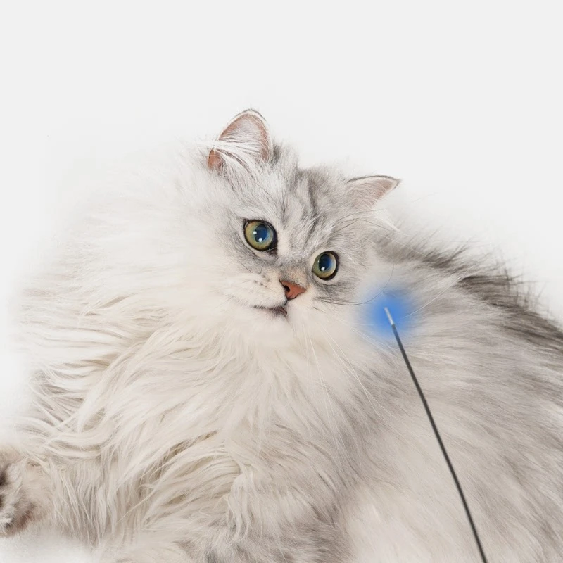 2026👉 Veterinarian Developed😻Laser Cat Teaser Stick😼Innovative Self-Play Fishing Rod & Hunting Toy for Cats