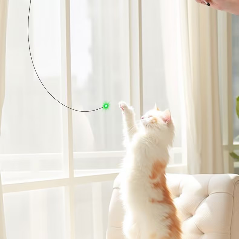 2026👉 Veterinarian Developed😻Laser Cat Teaser Stick😼Innovative Self-Play Fishing Rod & Hunting Toy for Cats