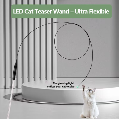2026👉 Veterinarian Developed😻Laser Cat Teaser Stick😼Innovative Self-Play Fishing Rod & Hunting Toy for Cats