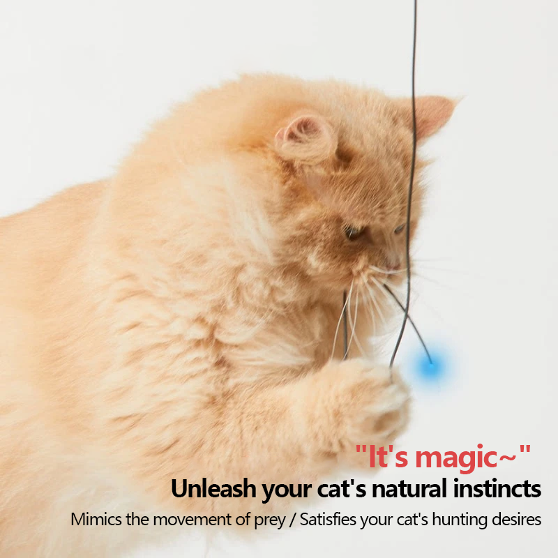 2026👉 Veterinarian Developed😻Laser Cat Teaser Stick😼Innovative Self-Play Fishing Rod & Hunting Toy for Cats